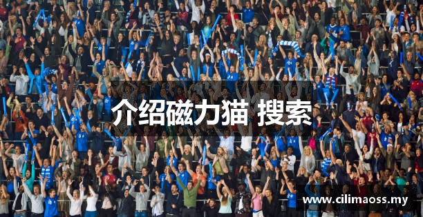 介绍磁力猫 搜索